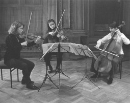 Leopold Trio 3