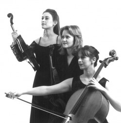 Leopold Trio 4